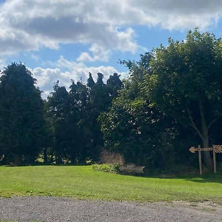 Roe Deer Meadow At Carr House Farm Hotel Scarborough Bagian luar foto