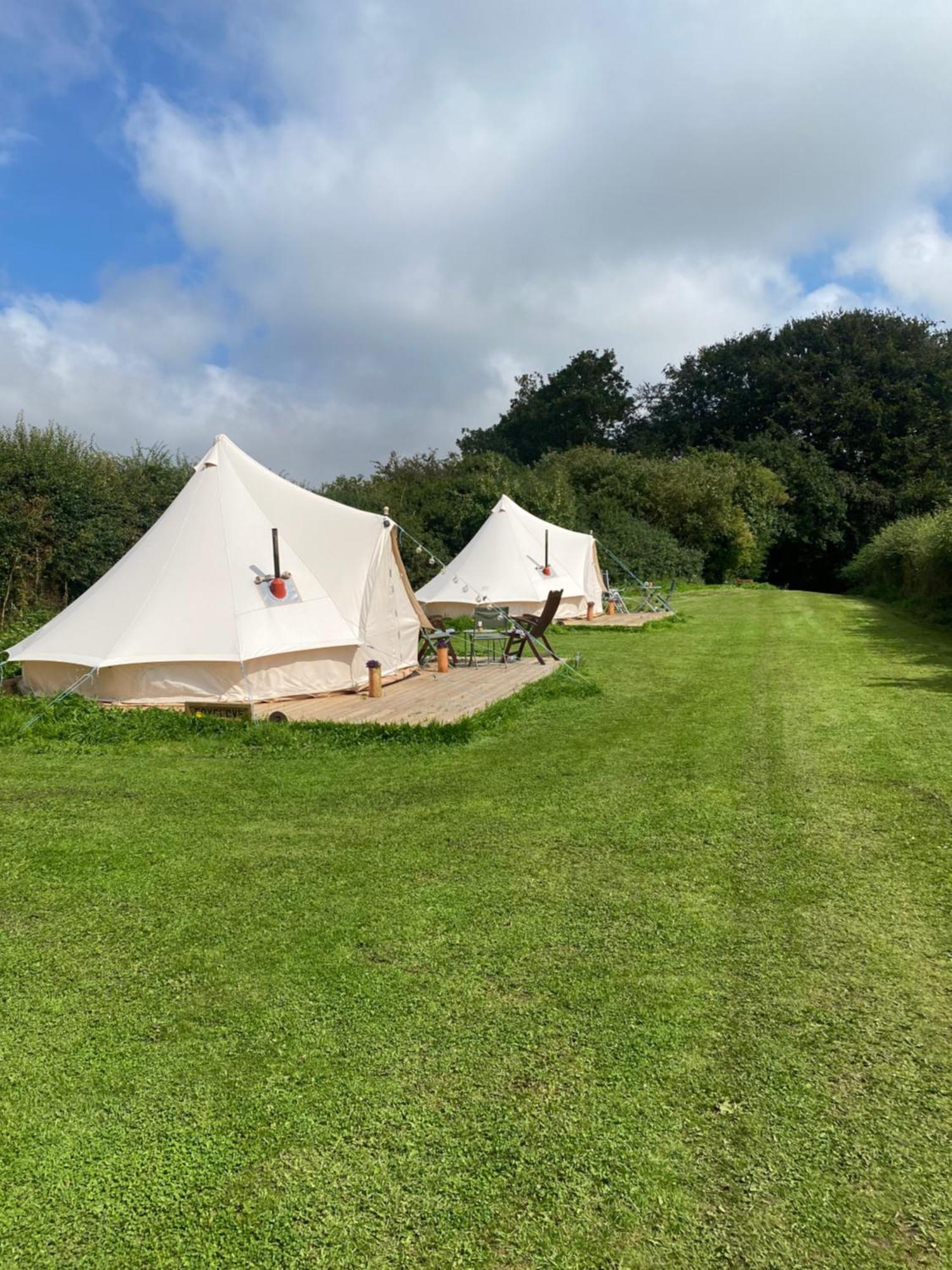 Roe Deer Meadow At Carr House Farm Hotel Scarborough Bagian luar foto
